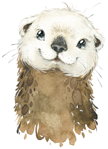 (s313-1-1R) Baby Otter