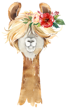 (s313-1-2S-31) Baby Llama Flowers