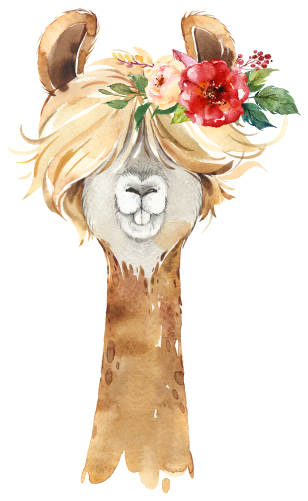 (s313-1-2S-31) Baby Llama Flowers