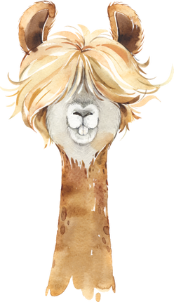 (s313-1-2S) Baby Llama