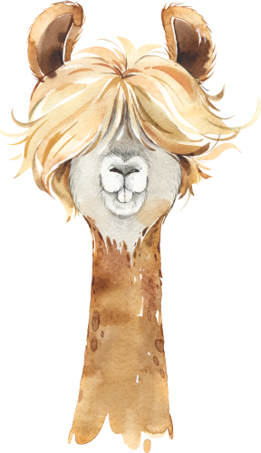 (s313-1-2S) Baby Llama