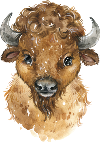 (s313-1-3S) Baby Buffalo Bison