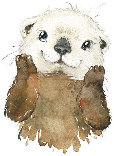 (s313-1-1S) Baby Otter