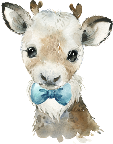 (313-01-1T-13) Baby Reindeer Teal Bowtie