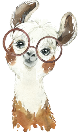 (s313-1-2T-22) Baby Llama Glasses