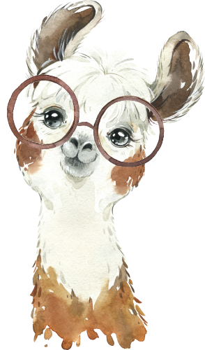 (s313-1-2T-22) Baby Llama Glasses