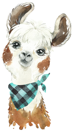 (s313-1-2T-25) Baby Llama Bandana