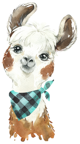 (s313-1-2T-25) Baby Llama Bandana