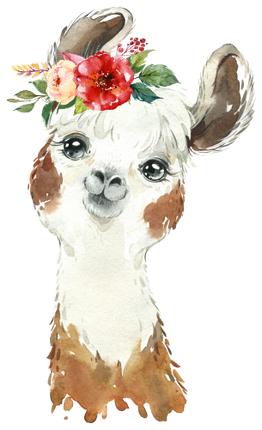 (s313-1-2T-31) Baby Llama Flowers
