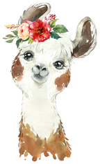 (s313-1-2T-31) Baby Llama Flowers