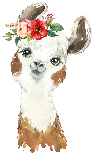 (s313-1-2T-31) Baby Llama Flowers