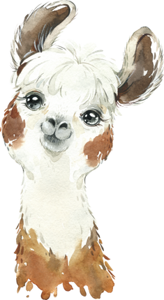 (s313-1-2T) Baby Llama