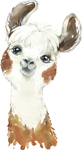 (s313-1-2T) Baby Llama