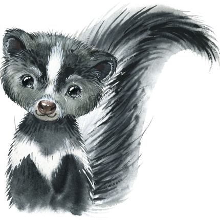 (s313-1-3T) Baby Skunk