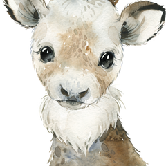 Collection image for: (s313)