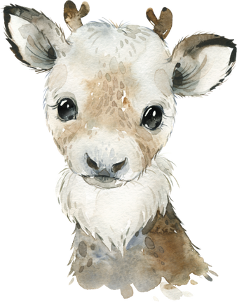 (313-01-1T) Baby Reindeer