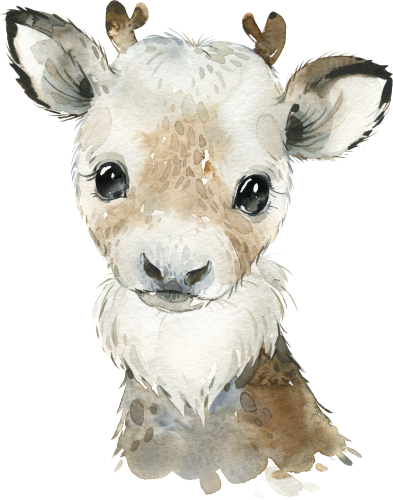 (s313-1-1T) Baby Reindeer