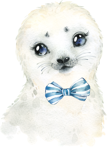 (s313-1-1U-16) Baby Seal Bowtie