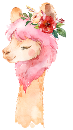 (s313-1-2U-31) Baby Llama Flowers