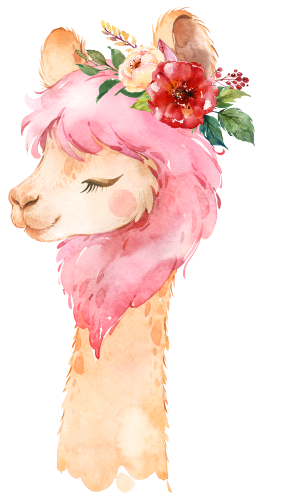 (s313-1-2U-31) Baby Llama Flowers