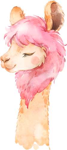 (s313-1-2U) Baby Llama