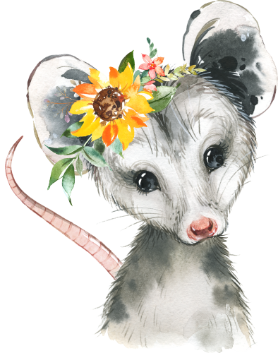 (s313-1-3U-37) Baby Opossum Flowers