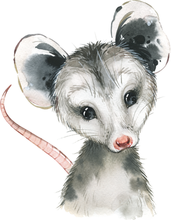 (s313-1-3U) Baby Opossum
