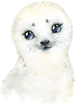 (313-01-1U) Baby Seal