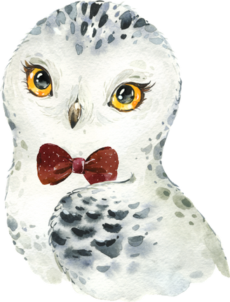 (s313-1-1V-11) Baby Snowy Owl Bowtie