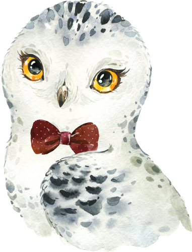 (s313-1-1V-11) Baby Snowy Owl Bowtie