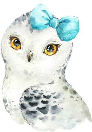 (s313-1-1V-13) Baby Snowy Owl  Turqouise Bow