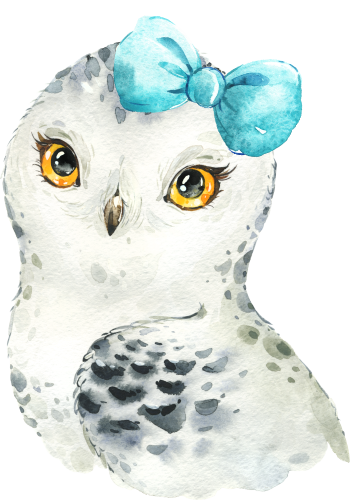 (s313-1-1V-13) Baby Snowy Owl  Turqouise Bow