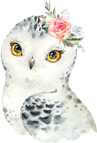 (s313-1-1V-46) Baby Snowy Owl Flowers
