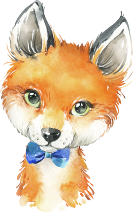 (s313-1-2V-12) Baby Fox Blue Bow