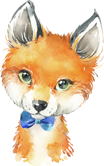 (s313-1-2V-12) Baby Fox Blue Bow