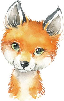 (s313-1-2V) Baby Fox