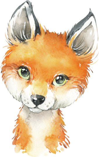 (s313-1-2V) Baby Fox