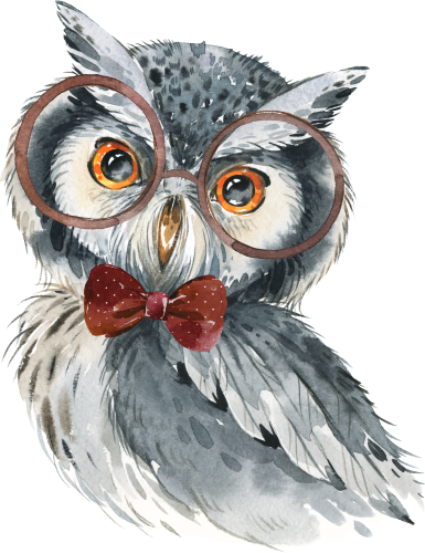 (s313-1-3V-22_1) Baby Gray Owl Bowtie Glasses
