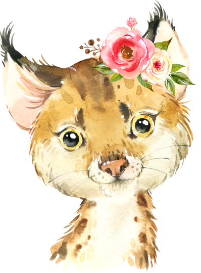 (s313-1-2W-56) Baby Bobcat Flowers