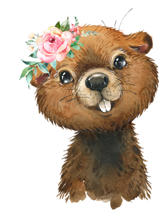 (s313-1-3W-45) Baby Beaver Flowers