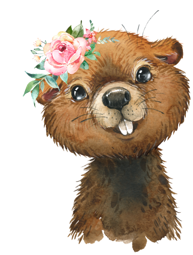 (s313-1-3W-45) Baby Beaver Flowers