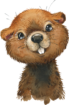 (s313-1-3W) Baby Beaver