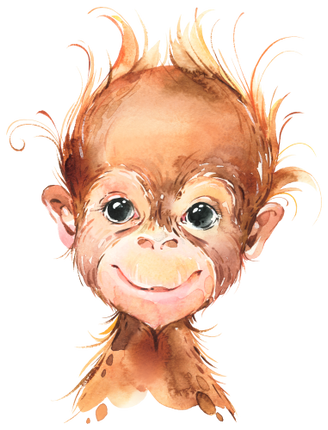 (s313-1-1W) Baby Orangutan