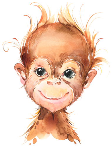 (s313-1-1W) Baby Orangutan