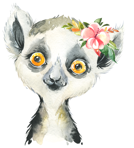 (s313-1-1X-41) Baby Lemur Flowers