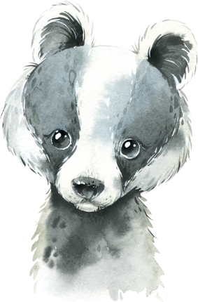 (s313-1-2X) Baby Badger