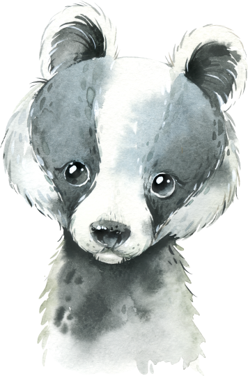 (s313-1-2X) Baby Badger