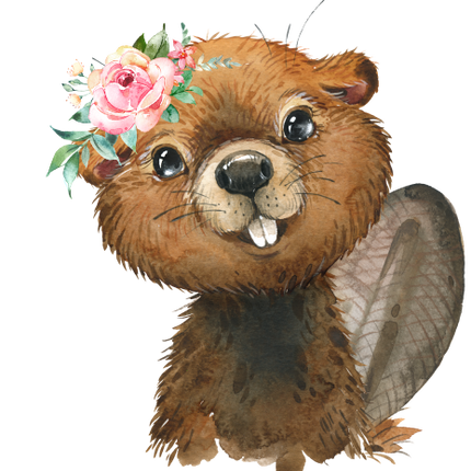 (s313-1-3X-45) Baby Beaver  Flowers