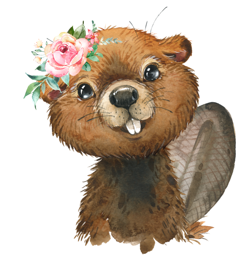 (s313-1-3X-45) Baby Beaver  Flowers