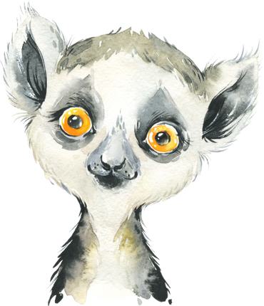 (s313-1-1X) Baby Lemur